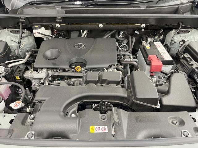 25199490_carP_l_16.jpg