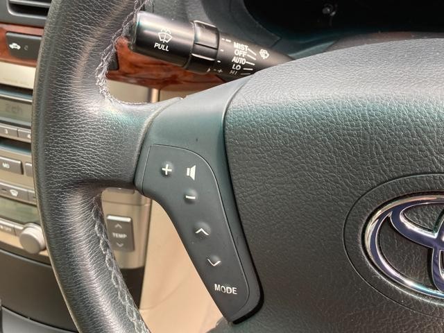25278962_carP_l_6.jpg