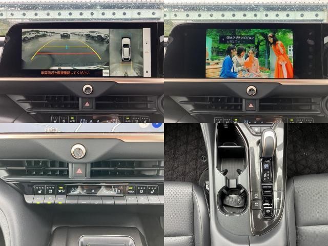 26492461_carP_l_10.jpg