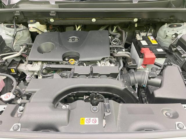 23376933_carP_l_16.jpg