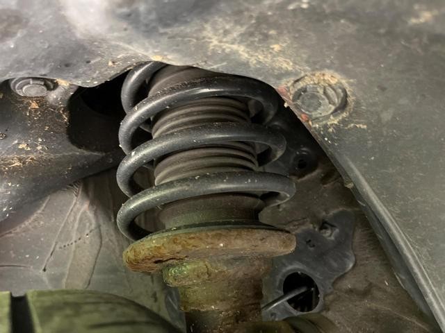 26335334_carP_l_20.jpg