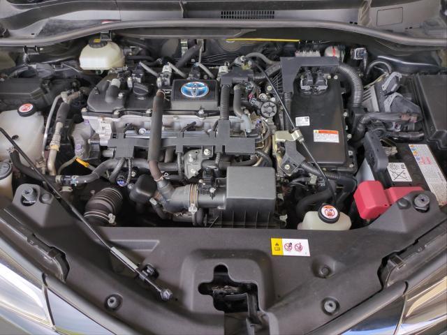 24803327_carP_l_17.jpg