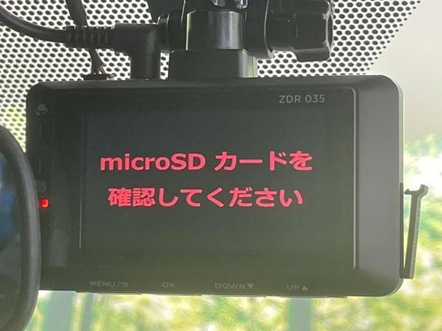 25904540_carP_l_14.jpg