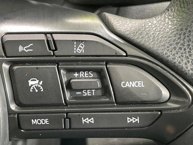 25138584_carP_l_10.jpg