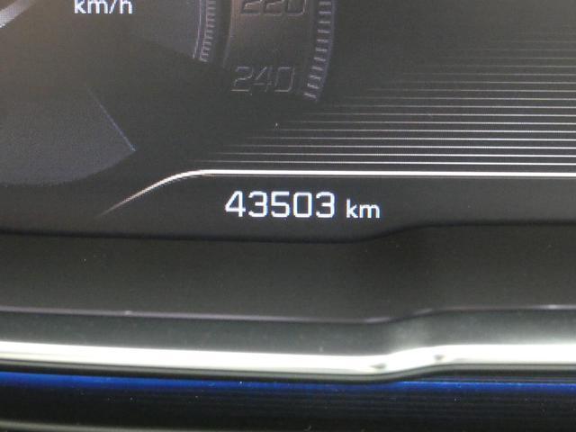 24134613_carP_l_10.jpg