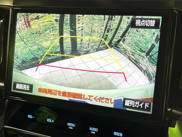 23396164_carP_l_4.jpg