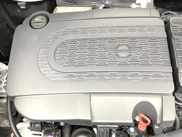 25774092_carP_l_20.jpg