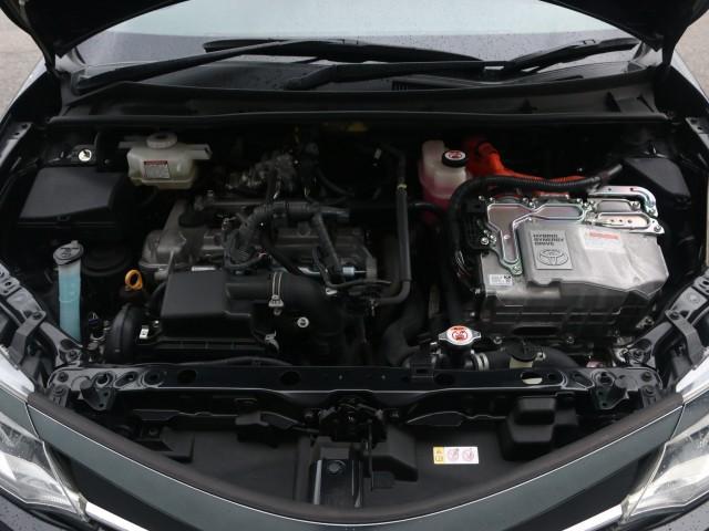24547305_carP_l_17.jpg
