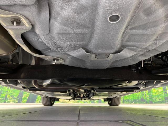 23396708_carP_l_18.jpg