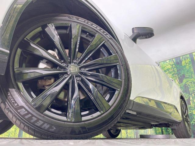 24500956_carP_l_7.jpg