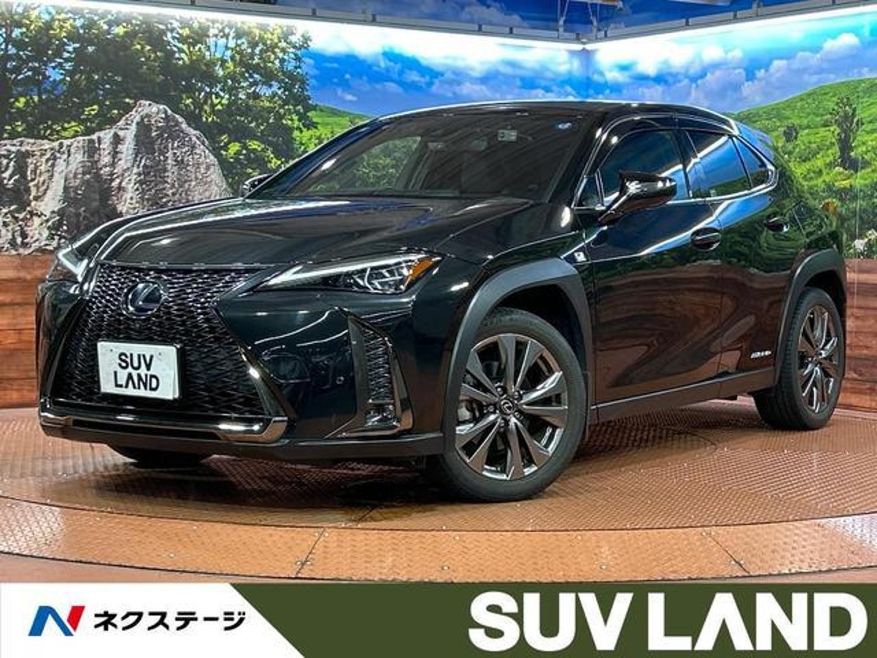 2019 Lexus Ux, photo 1 of 1