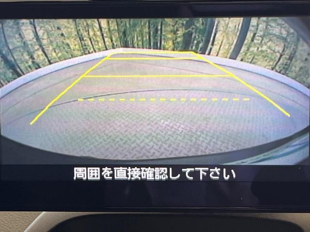25014844_carP_l_4.jpg