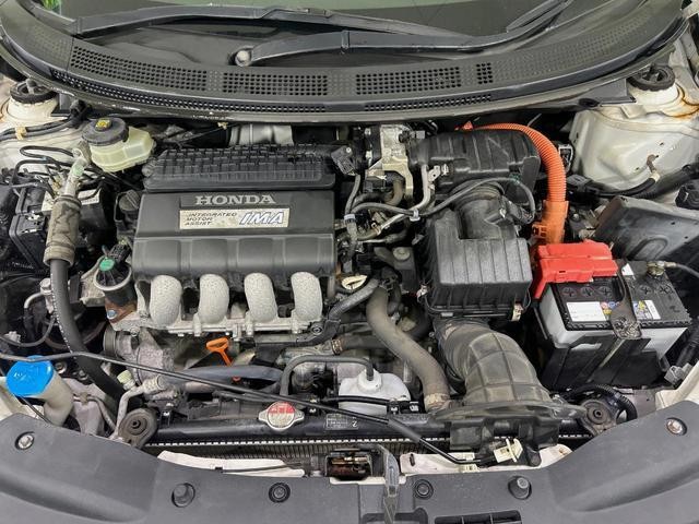 25591972_carP_l_16.jpg