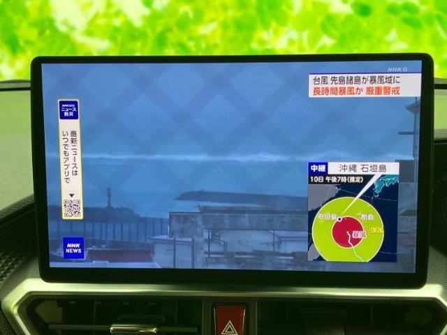 25118040_carP_l_6.jpg