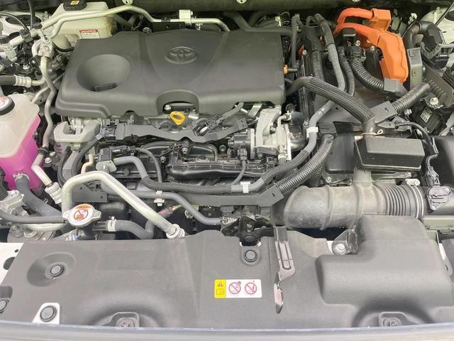25774364_carP_l_16.jpg