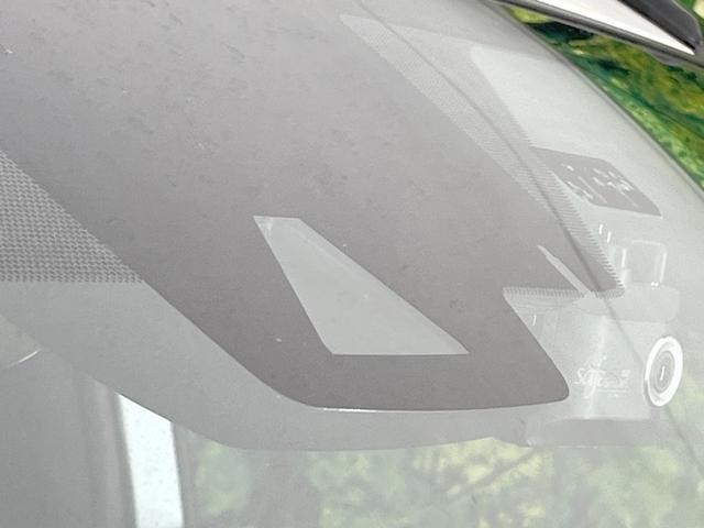 25774364_carP_l_4.jpg