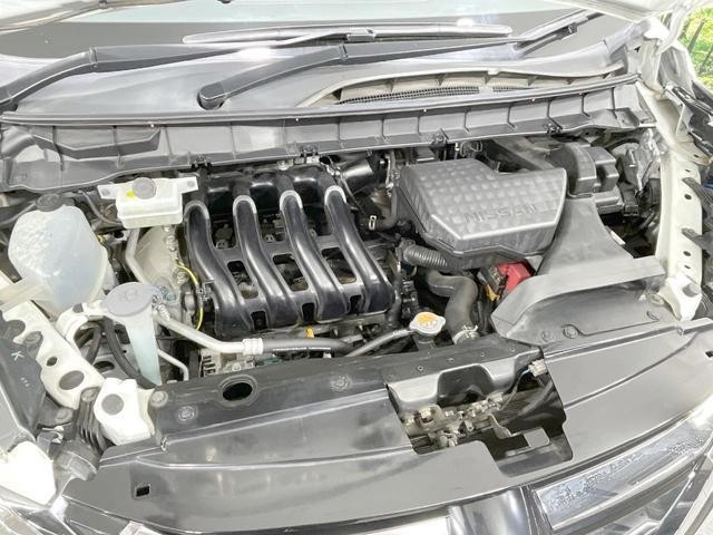 25591993_carP_l_20.jpg