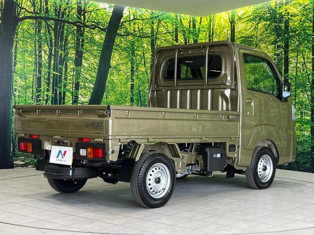 24219271_carP_l_12.jpg