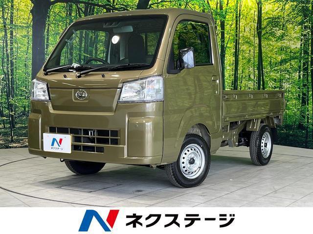 25199572_carP_l_1.jpg