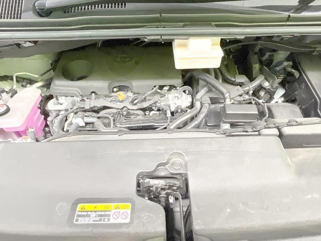 25734448_carP_l_16.jpg