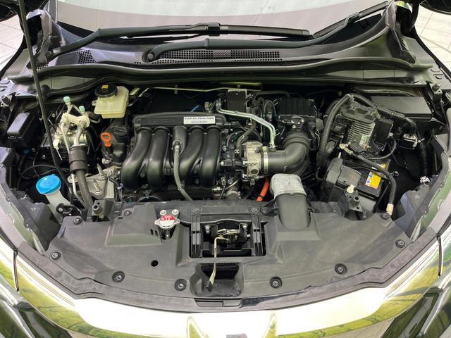 24340409_carP_l_16.jpg