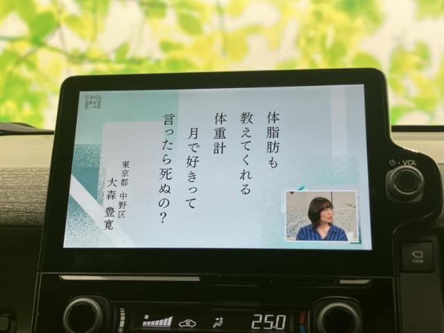 25512700_carP_l_7.jpg