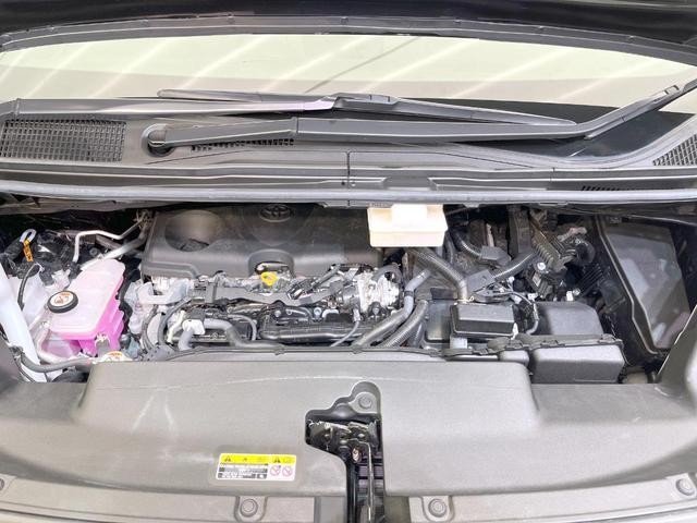 25035711_carP_l_18.jpg