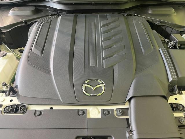 24807750_carP_l_18.jpg