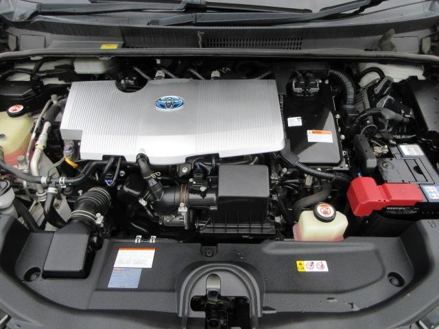 0530132A30261022W00211.jpg