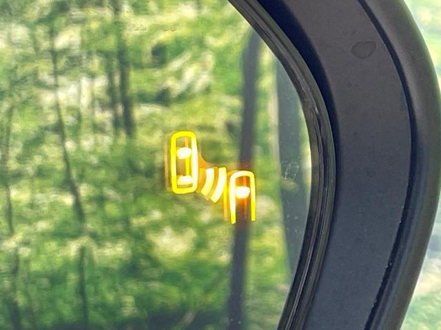 23417469_carP_l_14.jpg