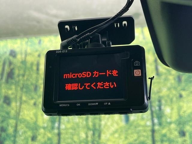 25445428_carP_l_10.jpg