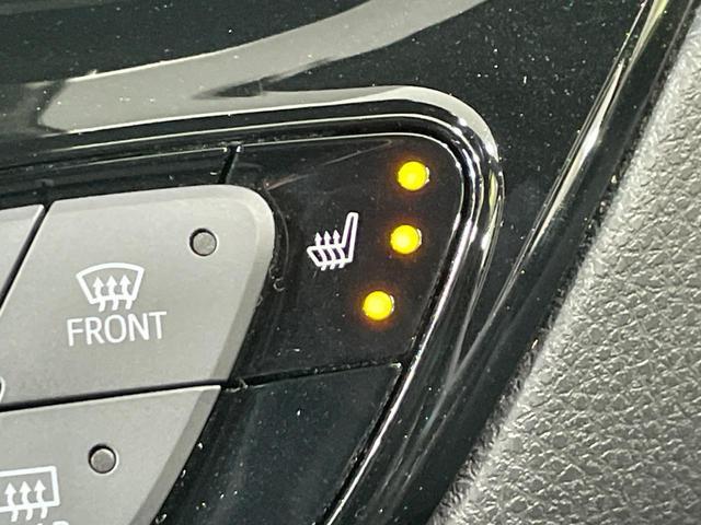 23417486_carP_l_4.jpg
