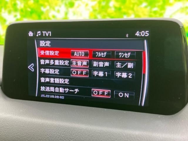 26266345_carP_l_5.jpg