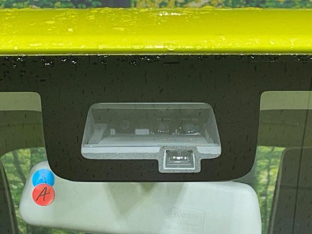 23417507_carP_l_4.jpg