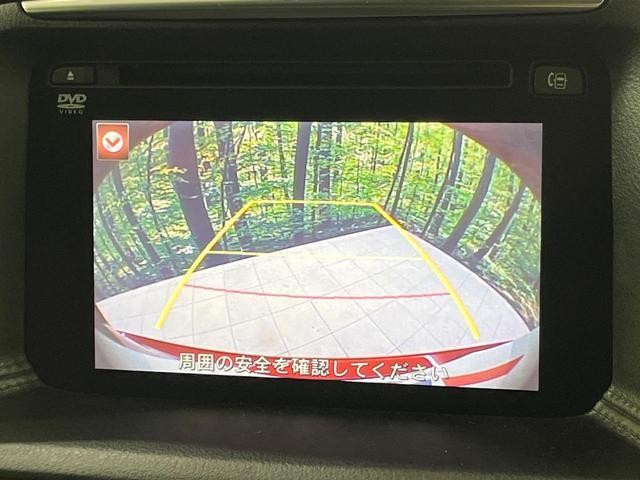 26335339_carP_l_13.jpg