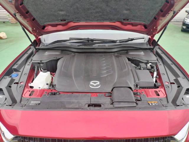 25038848_carP_l_11.jpg