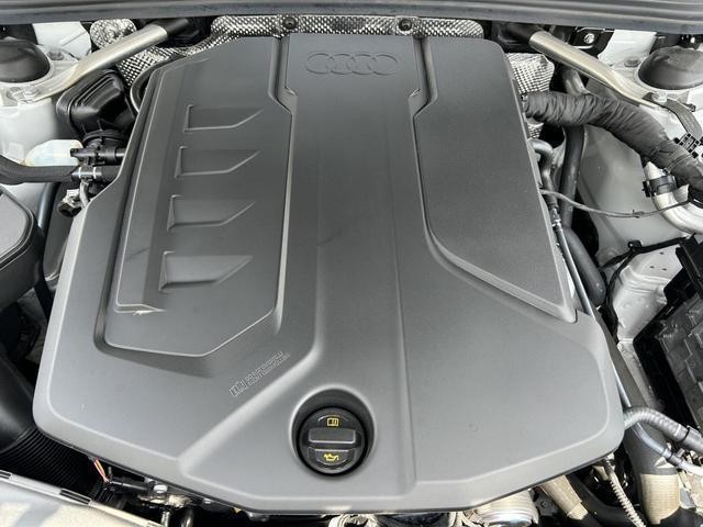 24577184_carP_l_12.jpg