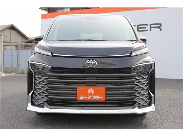 24618631_carP_l_19.jpg