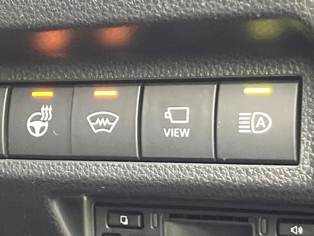 25404906_carP_l_10.jpg
