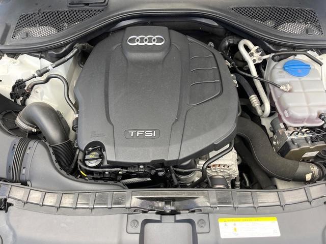 25506840_carP_l_18.jpg