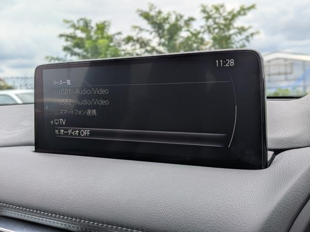 25050827_carP_l_14.jpg