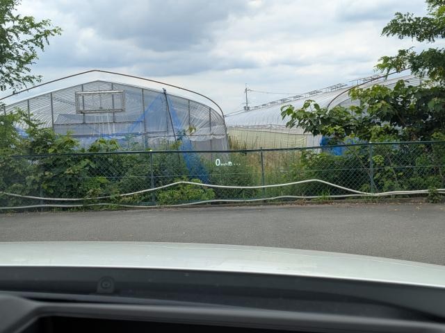 25050827_carP_l_7.jpg