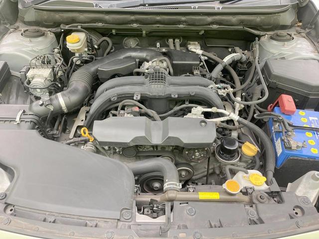 24481506_carP_l_16.jpg