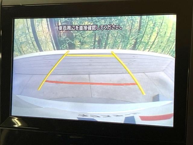 25014928_carP_l_4.jpg