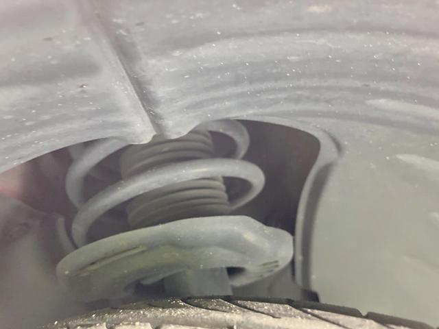 24340492_carP_l_20.jpg