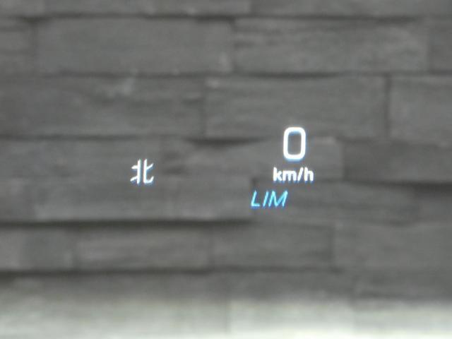 24746430_carP_l_12.jpg