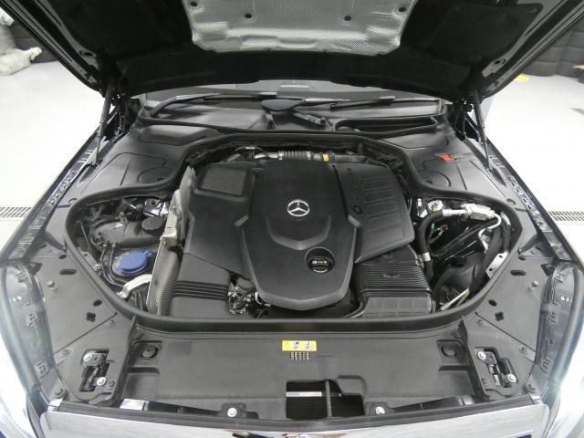 24746430_carP_l_20.jpg
