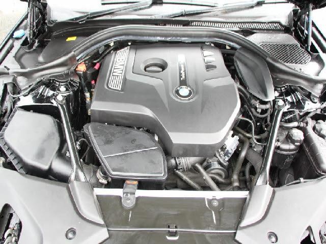 26210789_carP_l_15.jpg