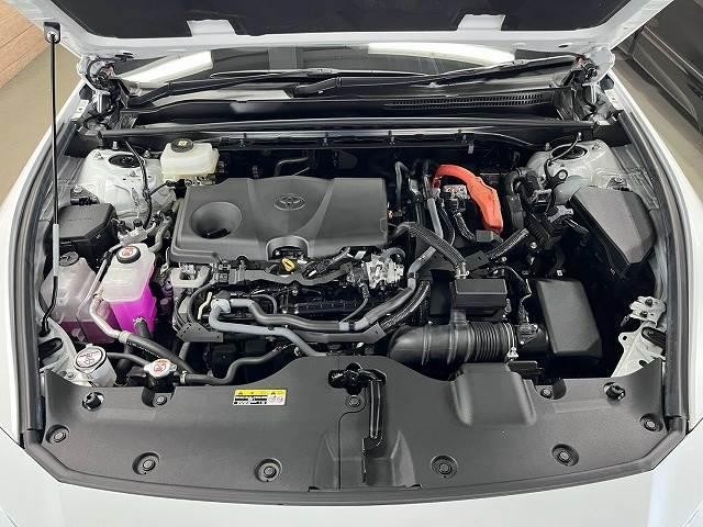 0207973A20260809D01113.jpg