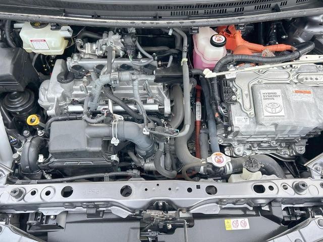 26210391_carP_l_18.jpg